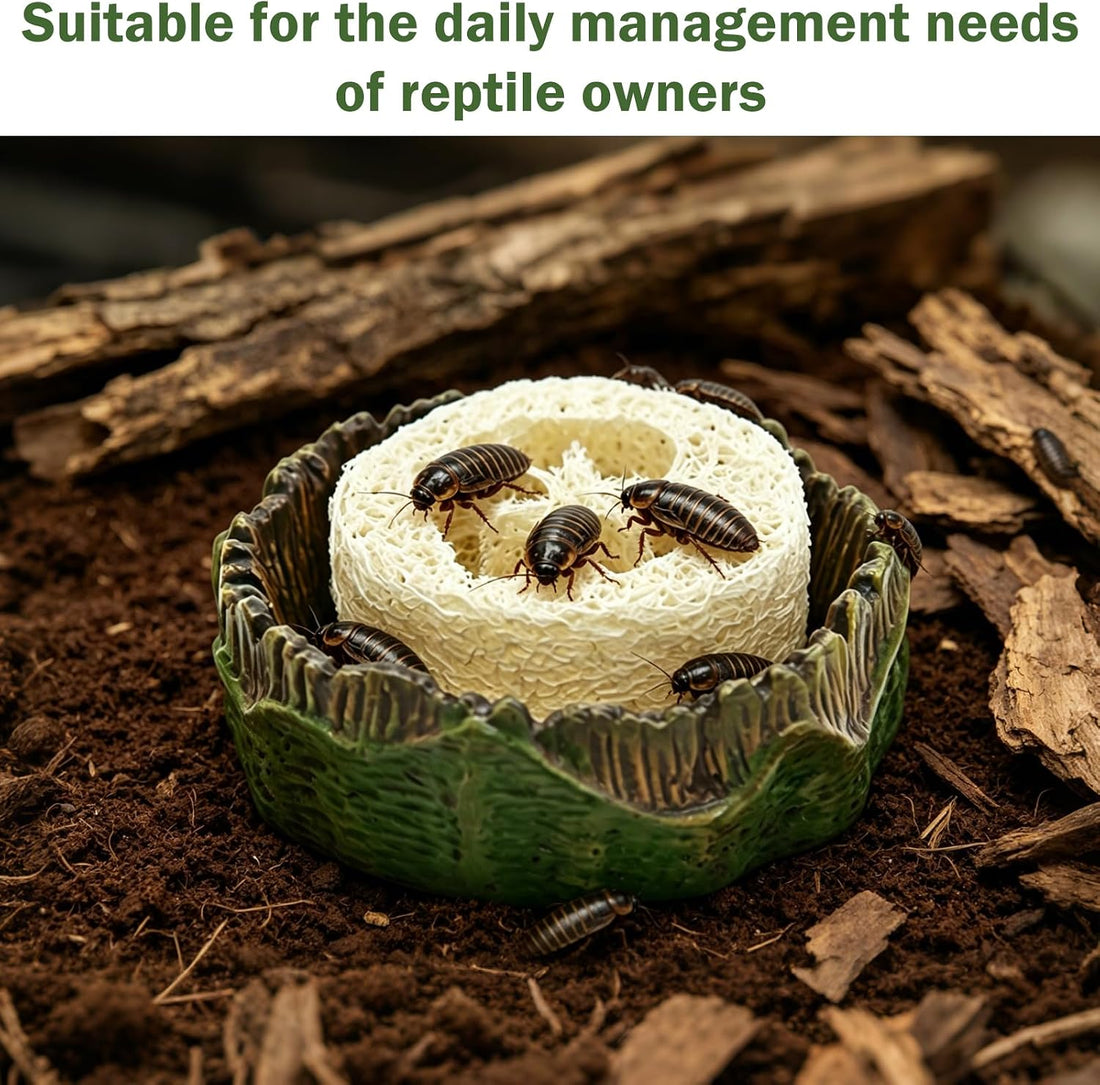 Cockroach Water Basin & 3 Loofah Set