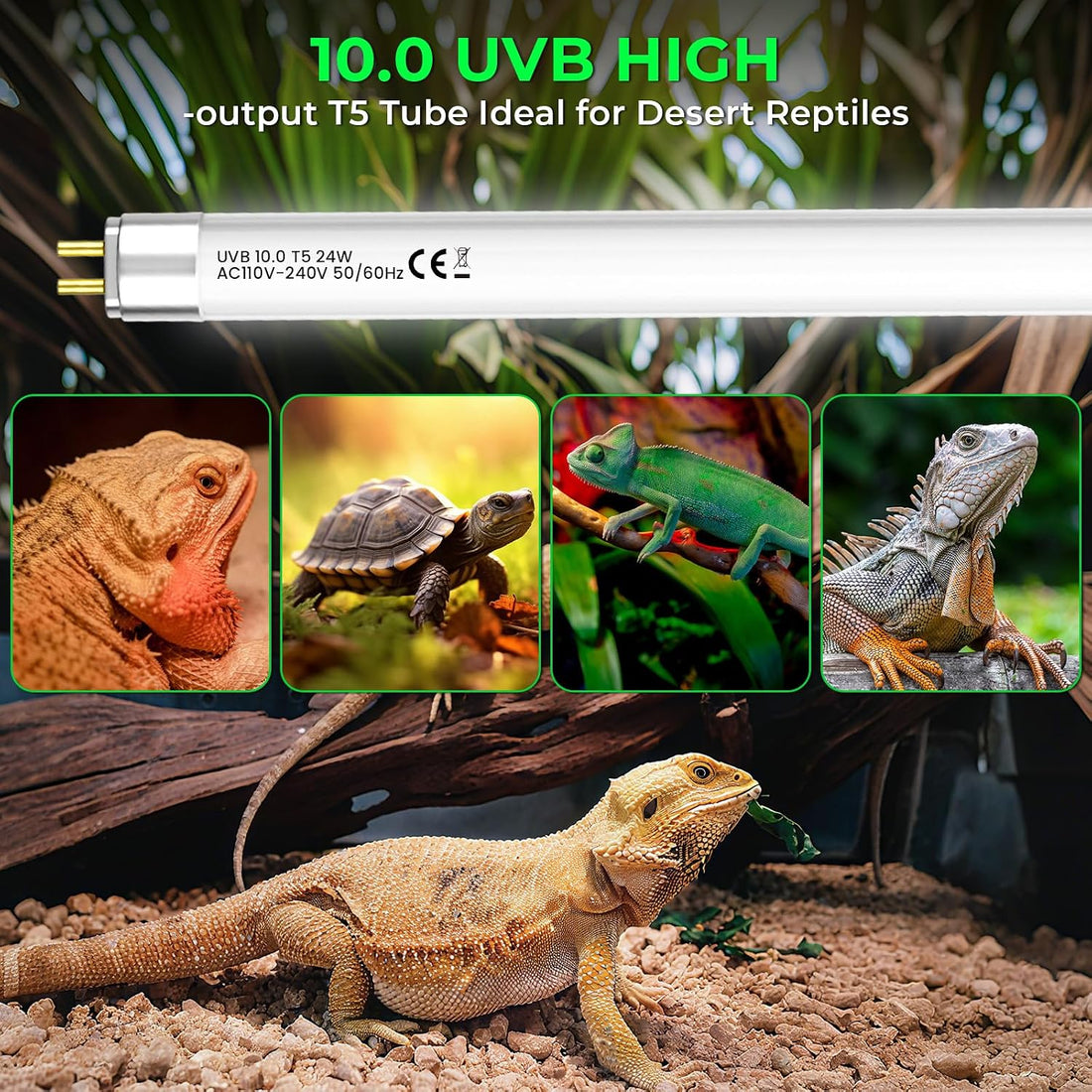 GlowUp 22 Inch T5 HO 10.0 24W Bearded Dragon UVB Light Bulb