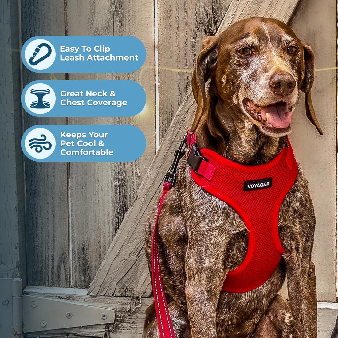 Voyager Step-in Lock Dog Harness - Red, Medium