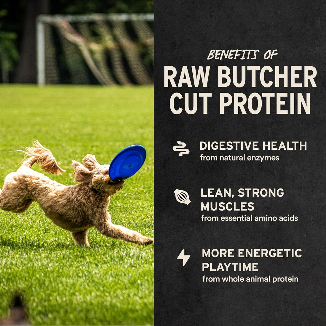Vital Essentials Freeze Dried Minnows Dog Treats | Single Ingredient