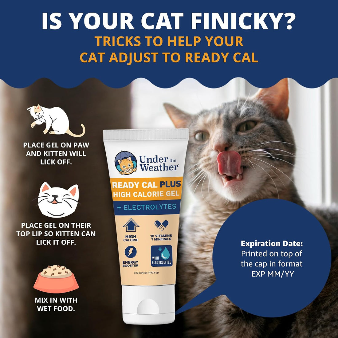 Under the Weather Pet Electrolytes Ready Cal Plus Gel for Cats