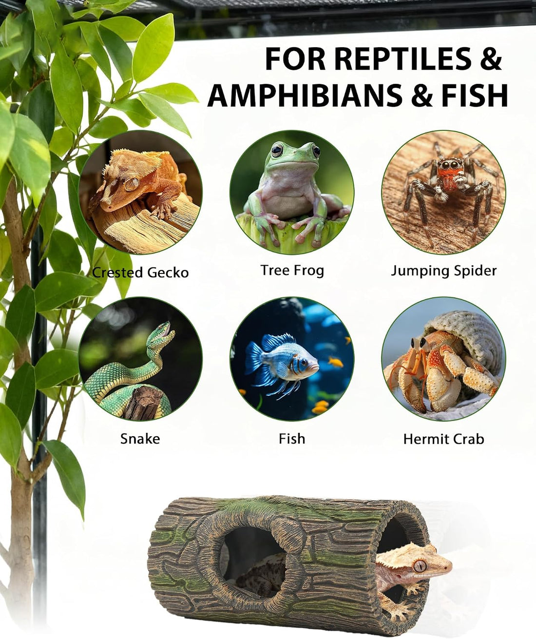 REPTITRIP Magnetic Crested Gecko Hideout - Resin Hollow Log Cave