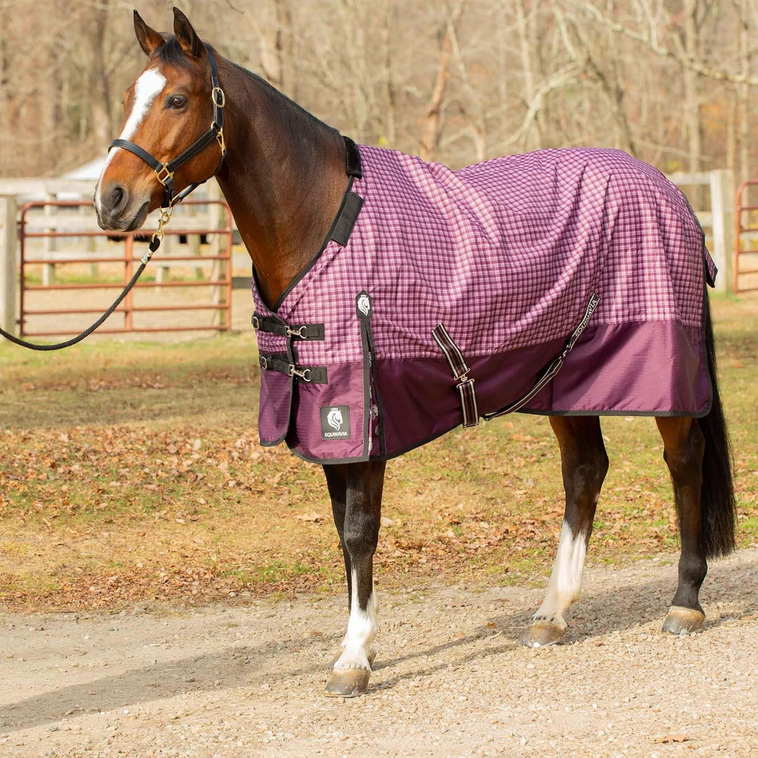 Equinavia Norse 300g Heavy Weight Horse Blanket Waterproof All