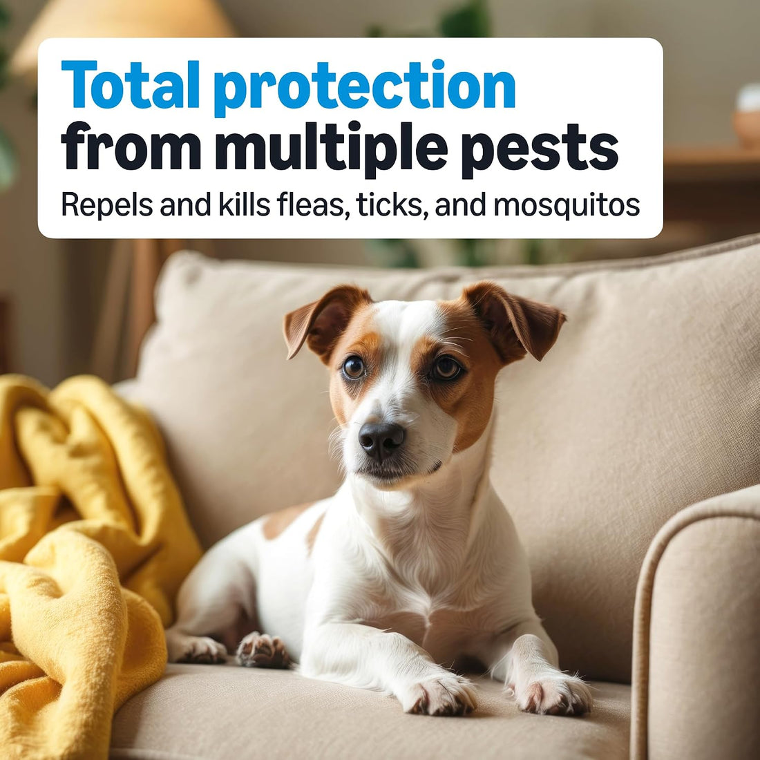 Flea, Tick & Mosquito Topical Treatment & Prevention for Medium Dogs