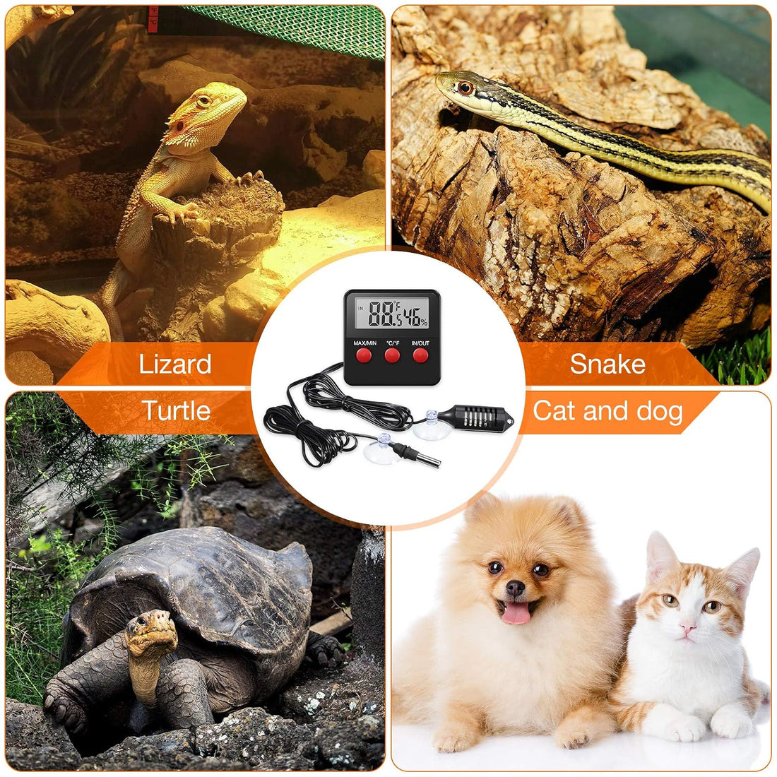 Weewooday 4 Pcs Digital Reptile Thermometer Hygrometer Gauge
