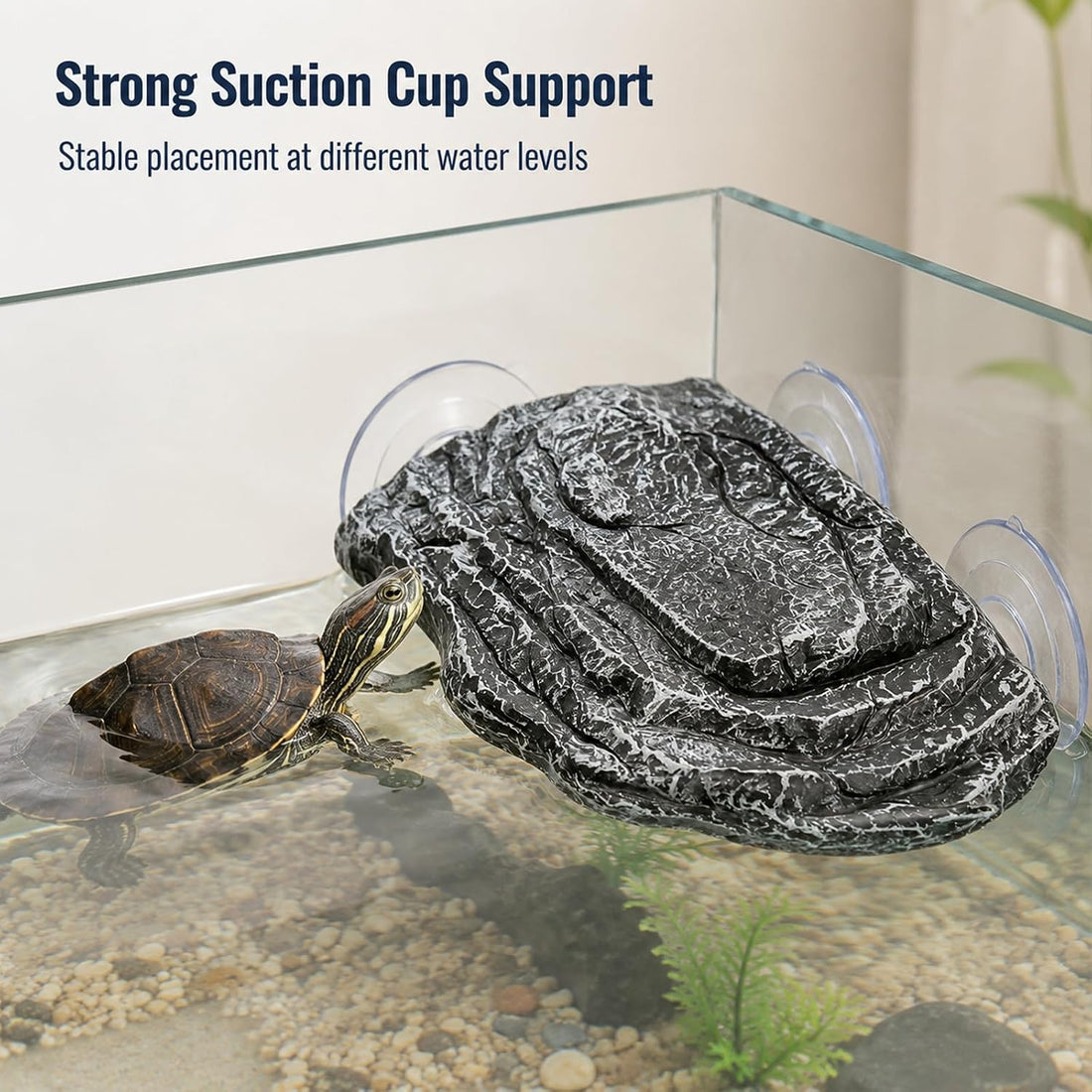 Turtle Basking Platform with Suction Cups