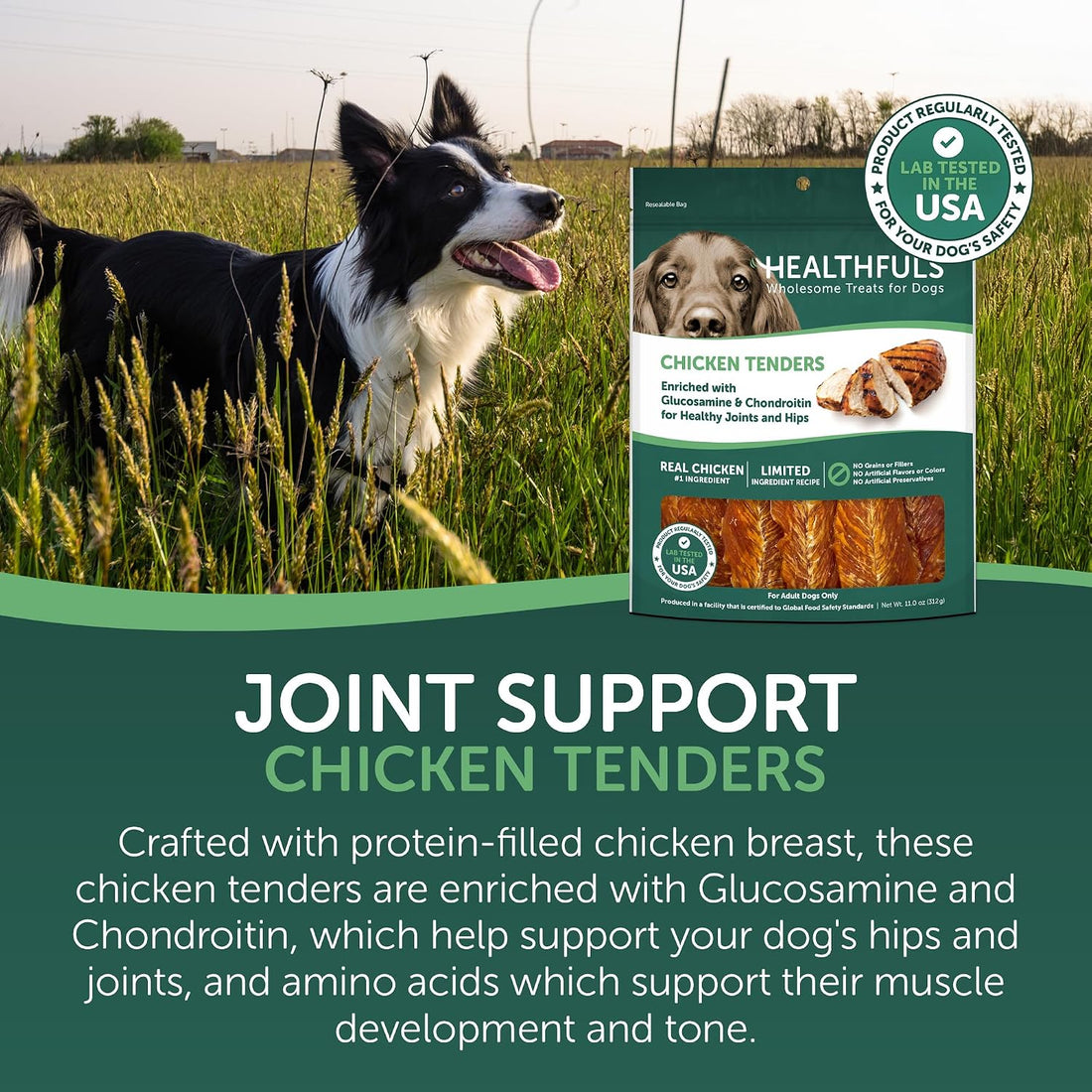 HEALTHFULS Chicken Tenders Dog Treats with Glucosamine & Chondroitin