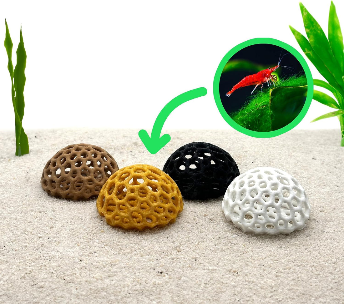CTWPets Shrimp Dome Hide, Aquarium Cave for Cherry Shrimp
