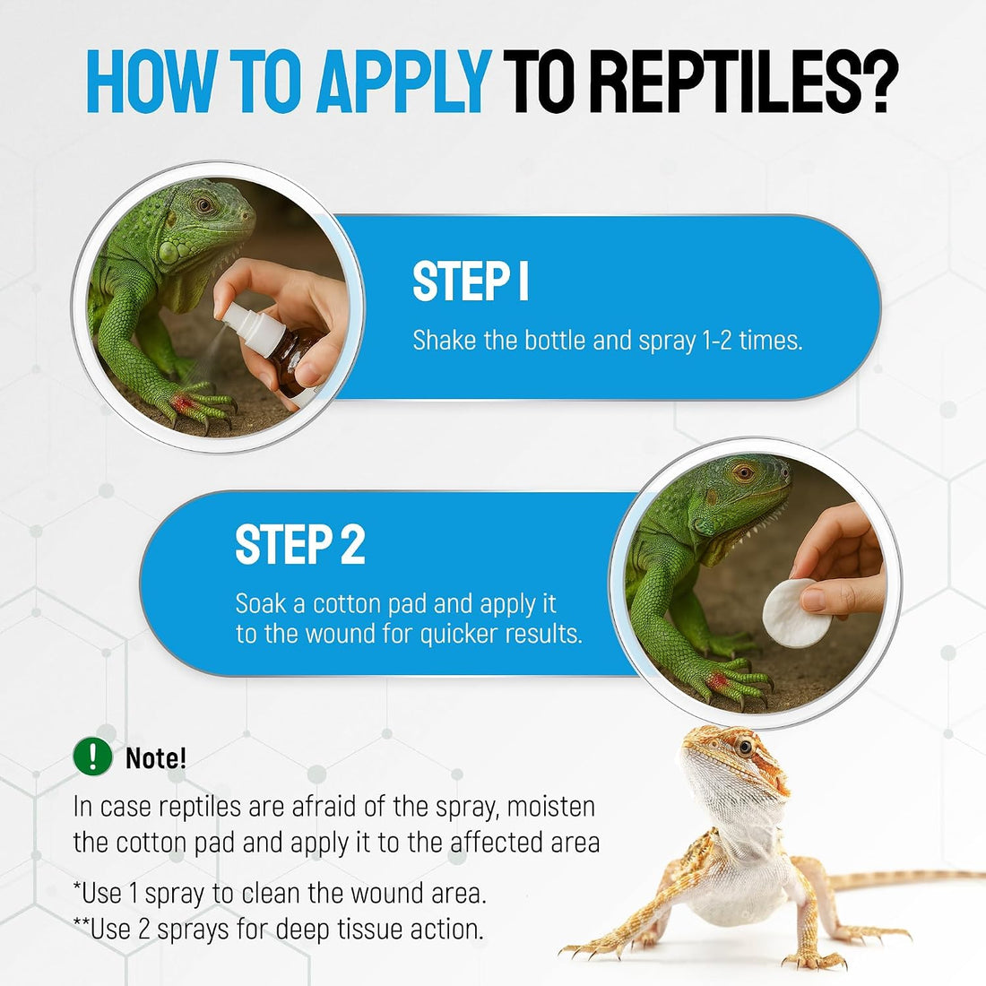 SILVER GRADE Reptile Antibiotics Mouth Rot Spray for Snakes & Lizards