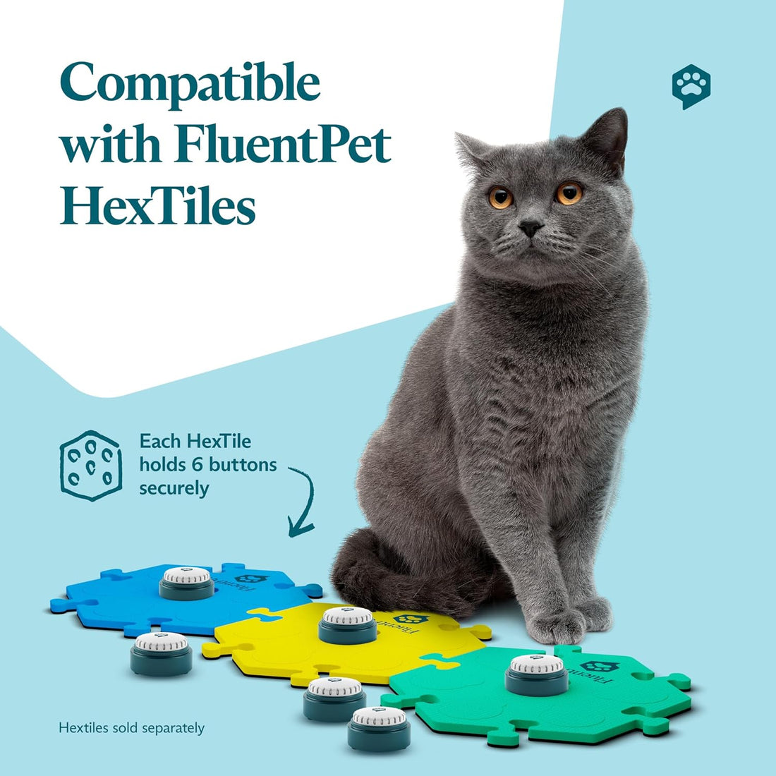 Speak Up! Talking Buttons for Dogs & Cats