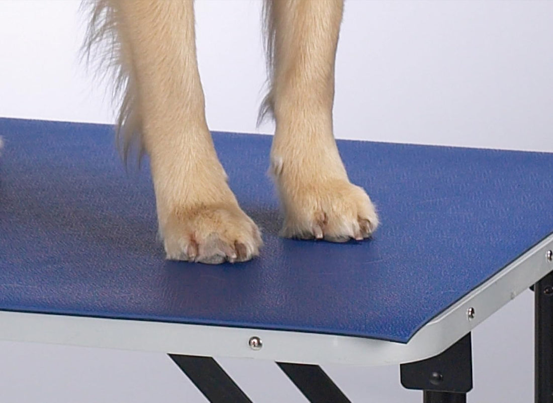 Top Performance Foam and PVC Pet Grooming Table Top Mat