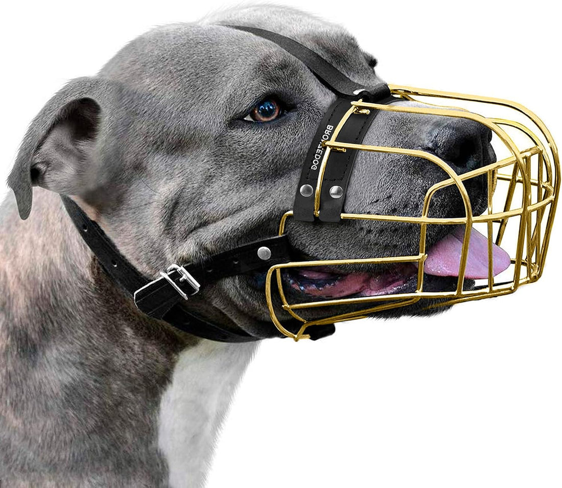 BRONZEDOG Pitbull Wire Basket Muzzle for Amstaff, Large Dogs (Steel)