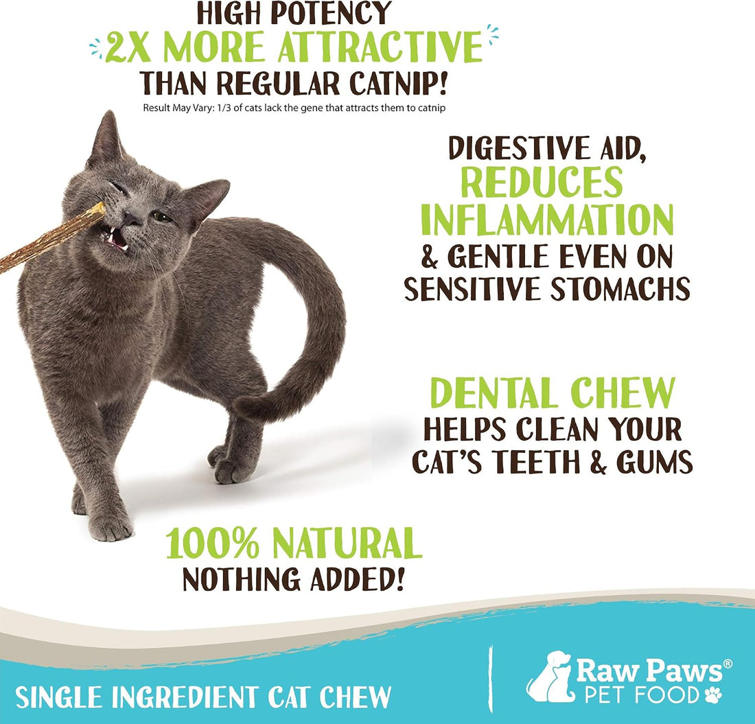 Raw Paws Silvervine Sticks for Cats (30-Count) - Dental Cat Chew Stick