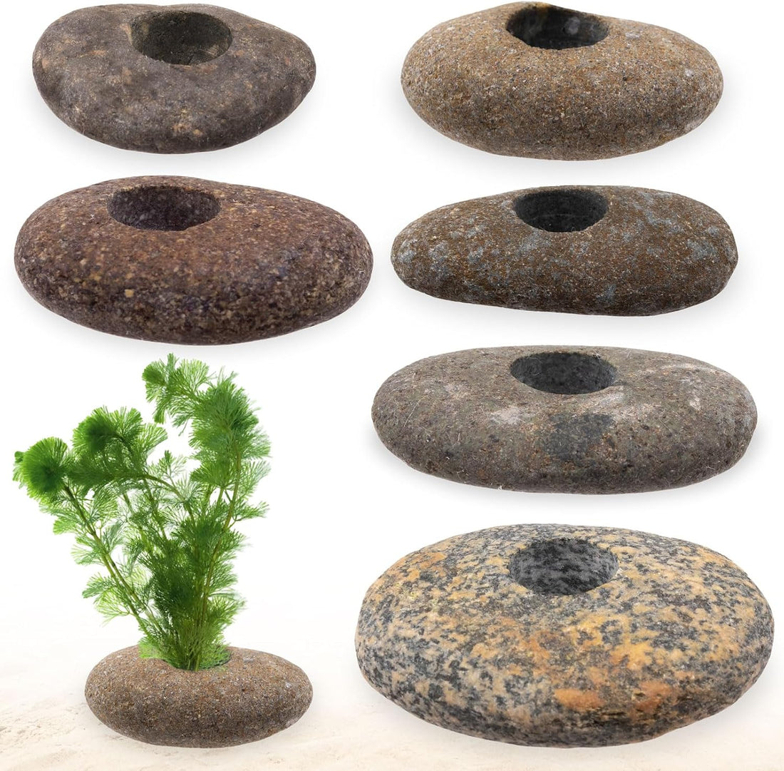 6 Pcs Natural River Rocks for Aquarium Plant Weights, Fish Tank Decor