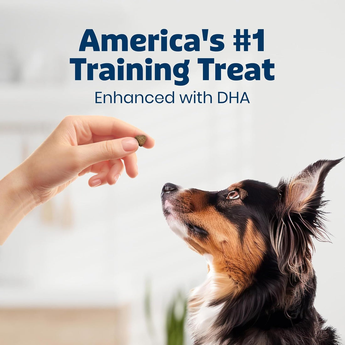 Blue Buffalo Bits Soft Dog Treats for Training