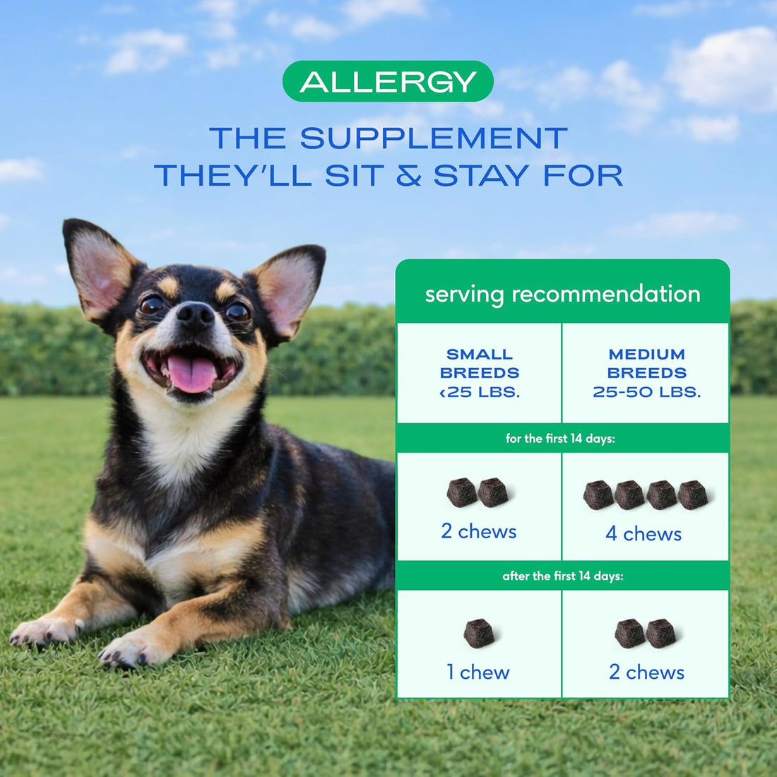 Native Pet Dog Allergy Chews