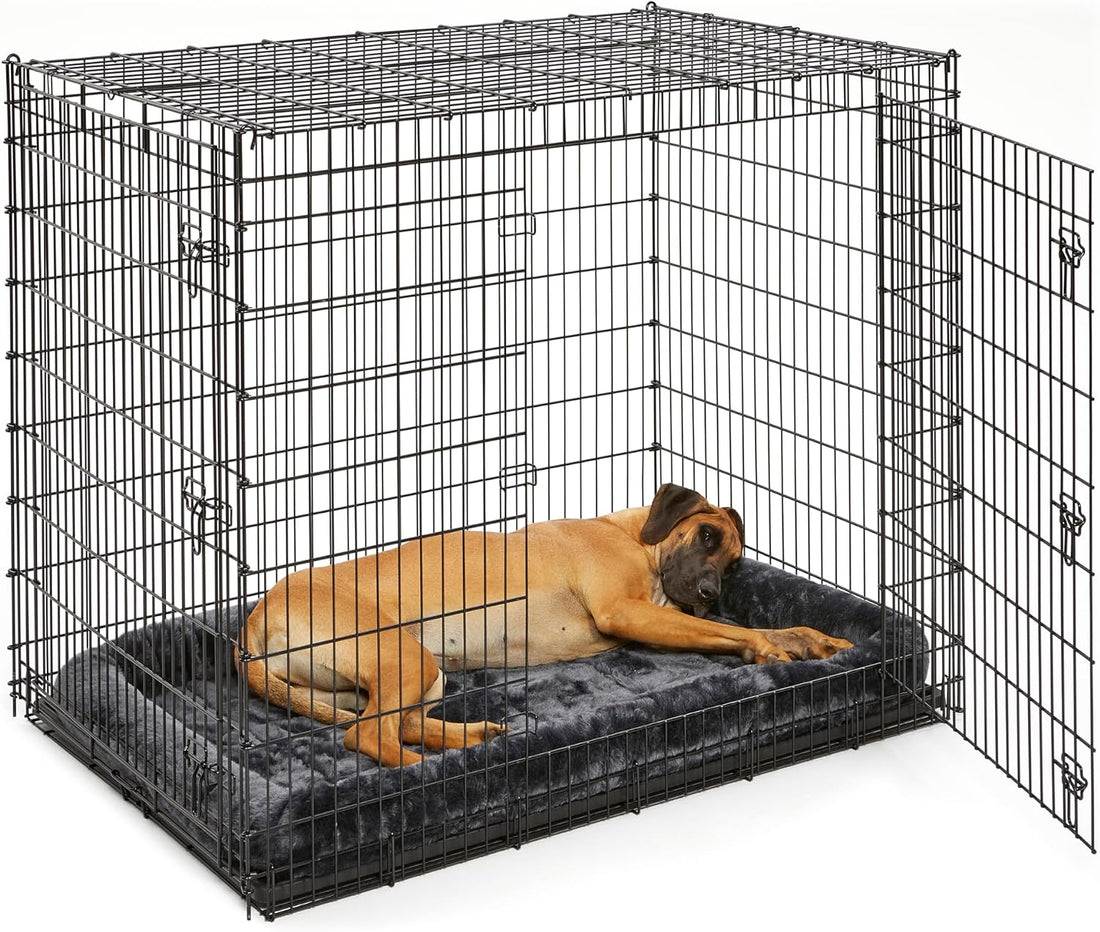 Solutions by Midwest 54-Inch Double Door Crate, Giant Breed Dogs
