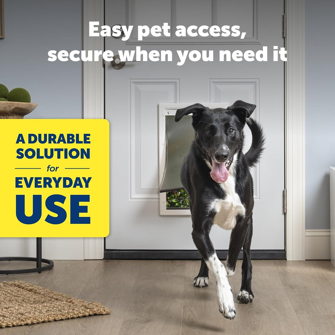 PetSafe Plastic Dog & Cat Door, Pets up to 100 lb