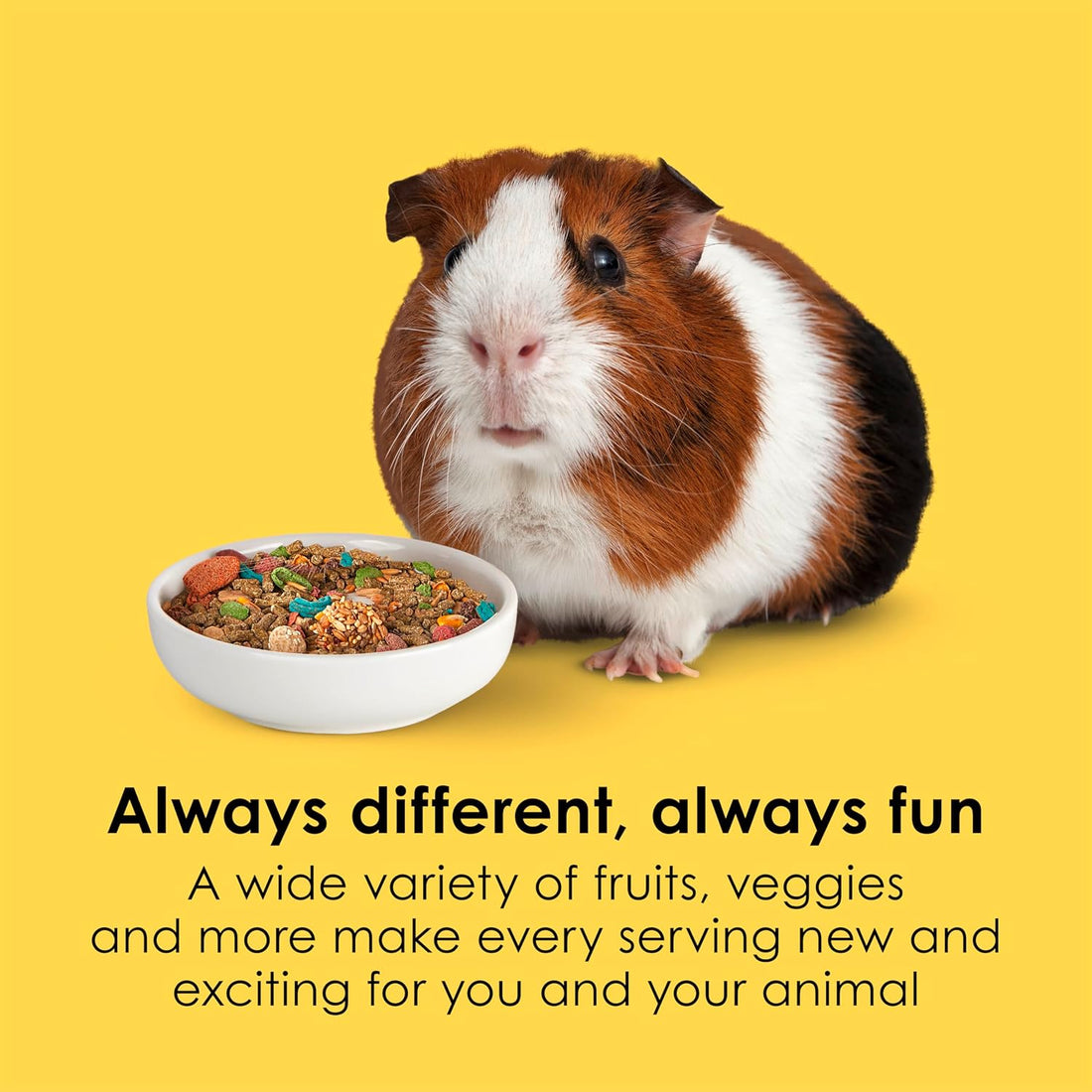 Kaytee Fiesta Guinea Pig Food, Nutritious Blend, 4.5 Pounds