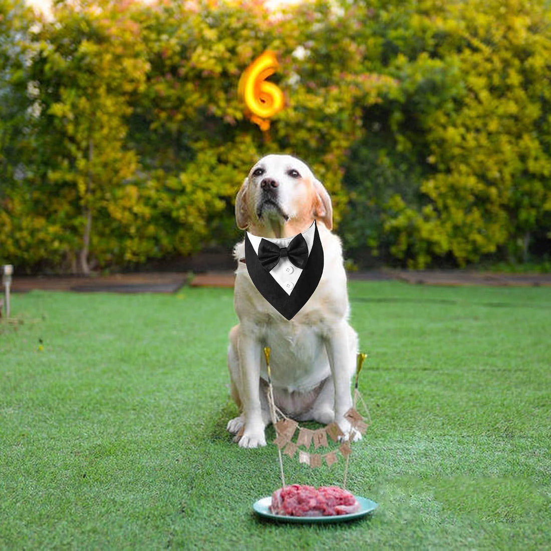 ADOGGYGO Formal Dog Tuxedo, Wedding Dog Bandana Collar with Bowtie