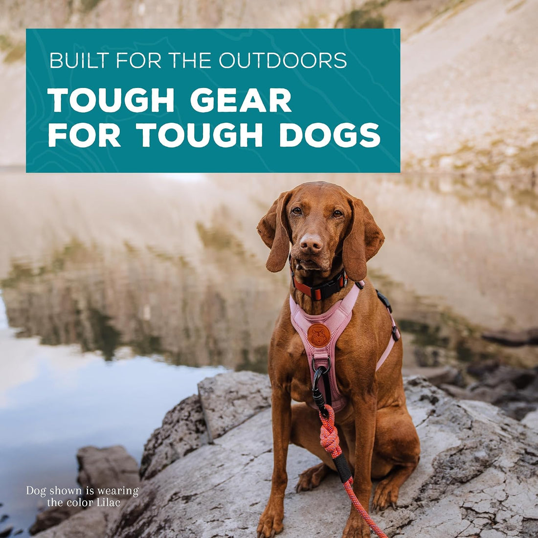 Wilderdog Lightweight Dog Harness with Reflective Straps - Medium