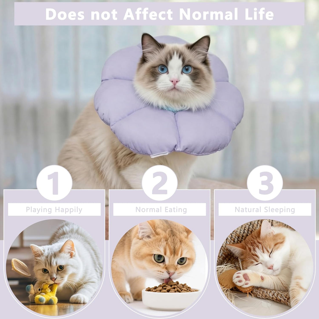 Soft Cat Cone Collar After Surgery,Cat Recovery Collar
