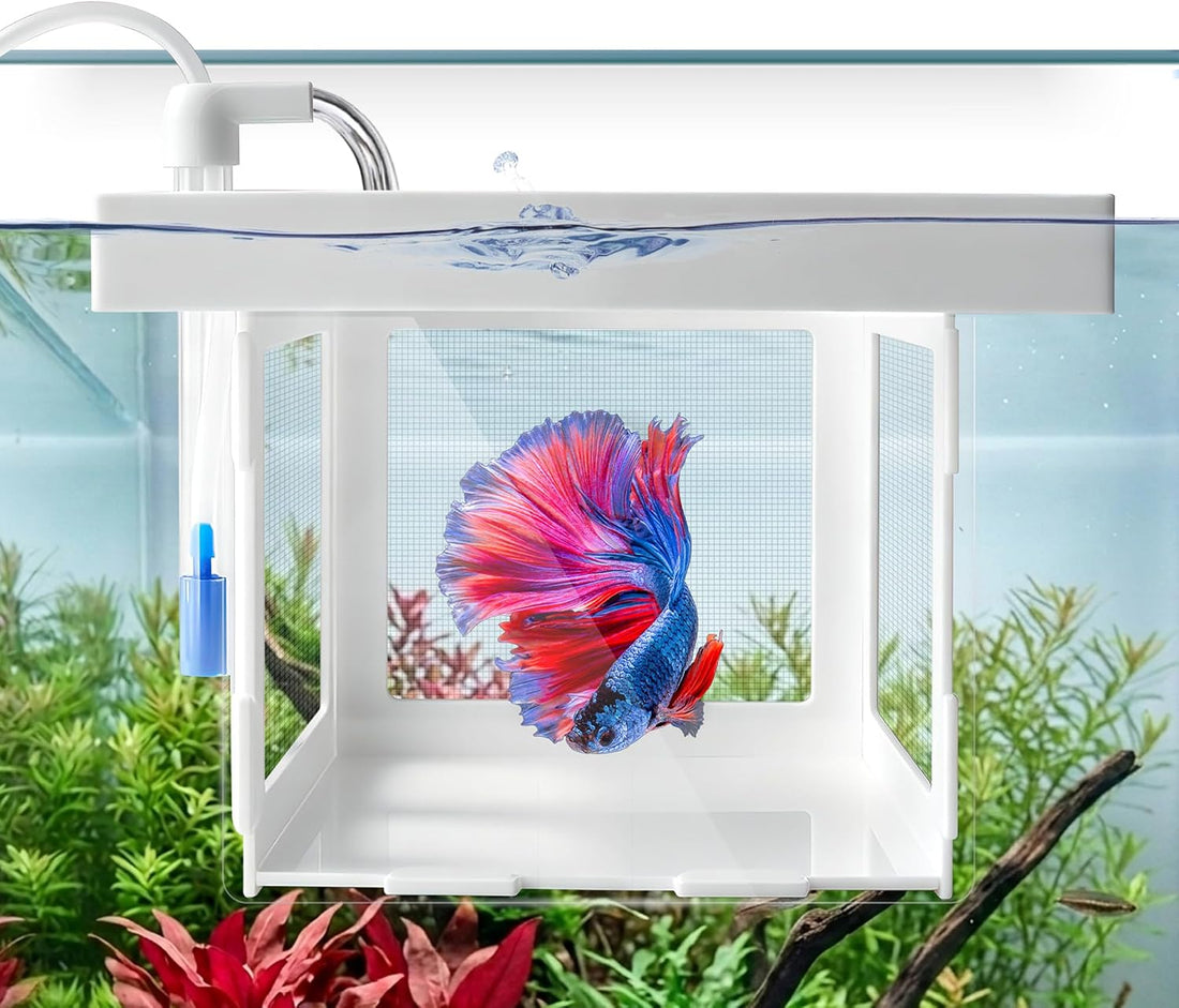Floating Aquarium Breeder Box, Fish Acclimation & Isolation Tank