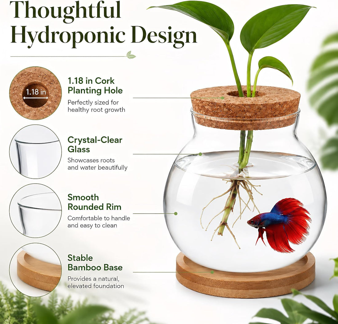 Healifty Desktop Fish Bowl, Glass Hydroponic Planter Tank Kit 5. 1 X