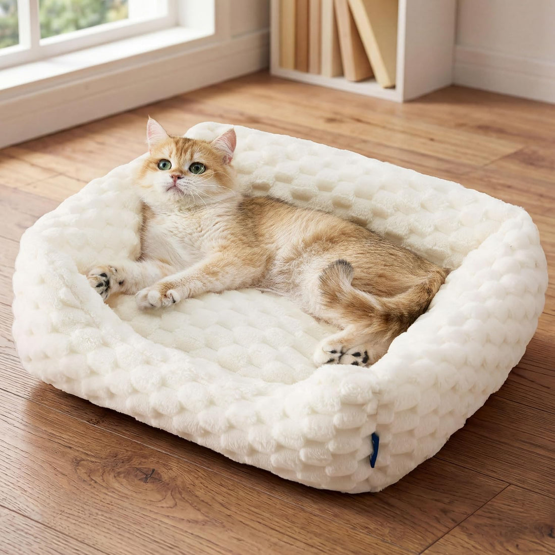 Bedsure Washable Fluffy Cute Dog Beds for Small & Medium Dogs, 25in