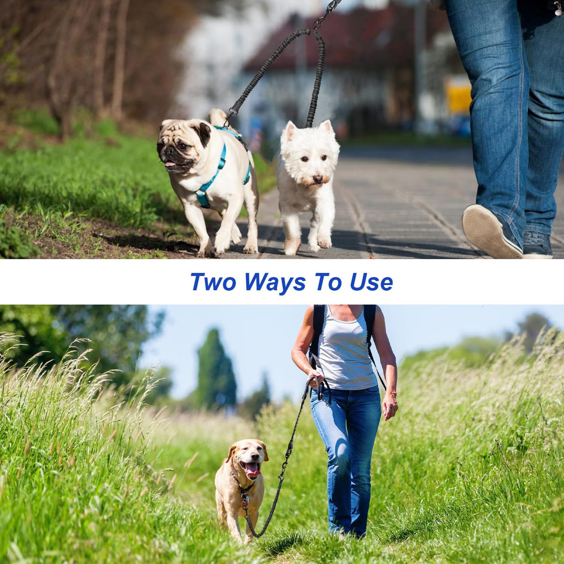 MingXpets Double Dog Leash,360° Swivel Tangle Free Bungee Walking