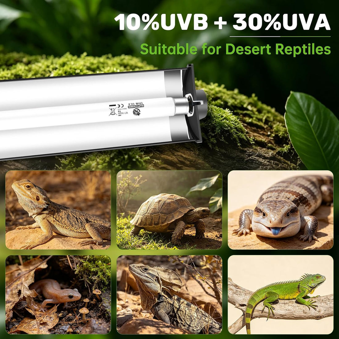 T5 UVB Reptile Light Fixture, 8W 10.0 UVA UVB Light Bulb 12"