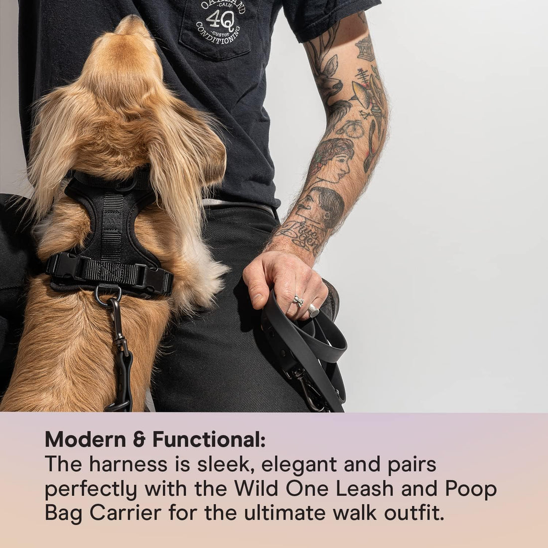 Wild One Dog Harness, The Original No-Pull, Pet Harness Size L