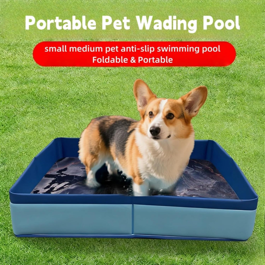 Collapsible Reptile Bathtub Pool Foldable Pet Pool