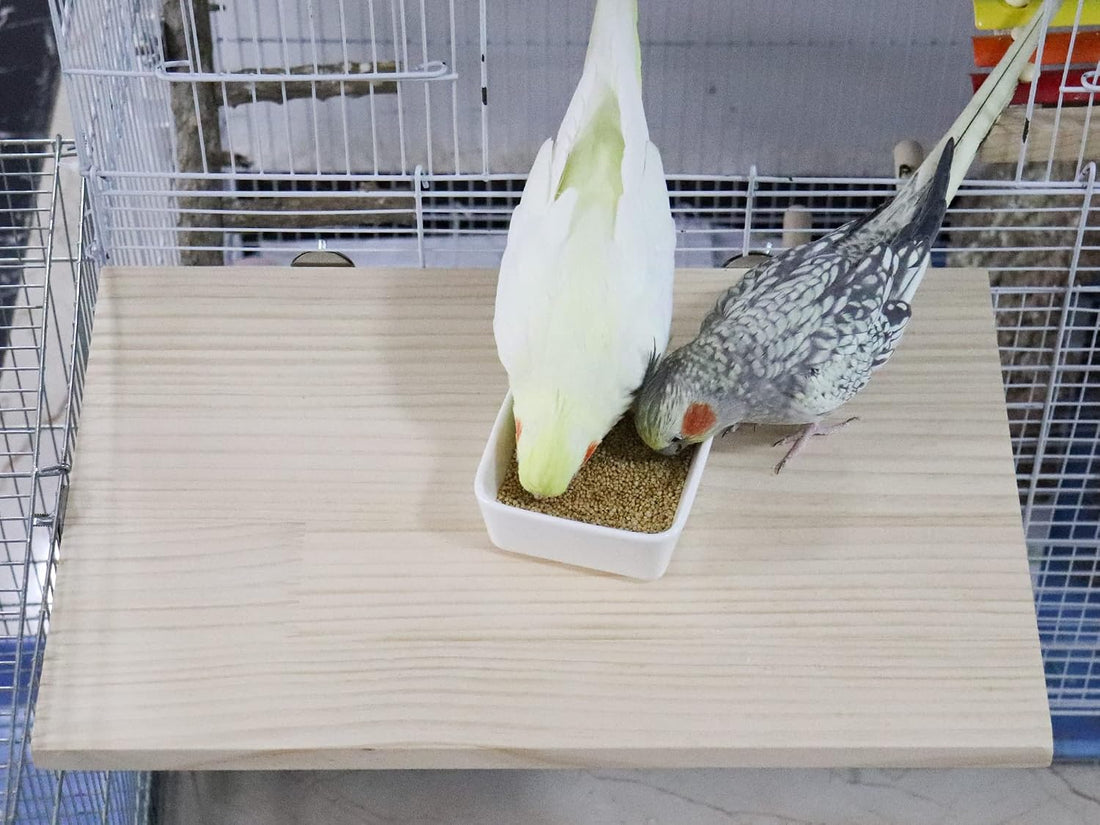 15.7×10.4 Inches Large Bird Perch Stand Platform