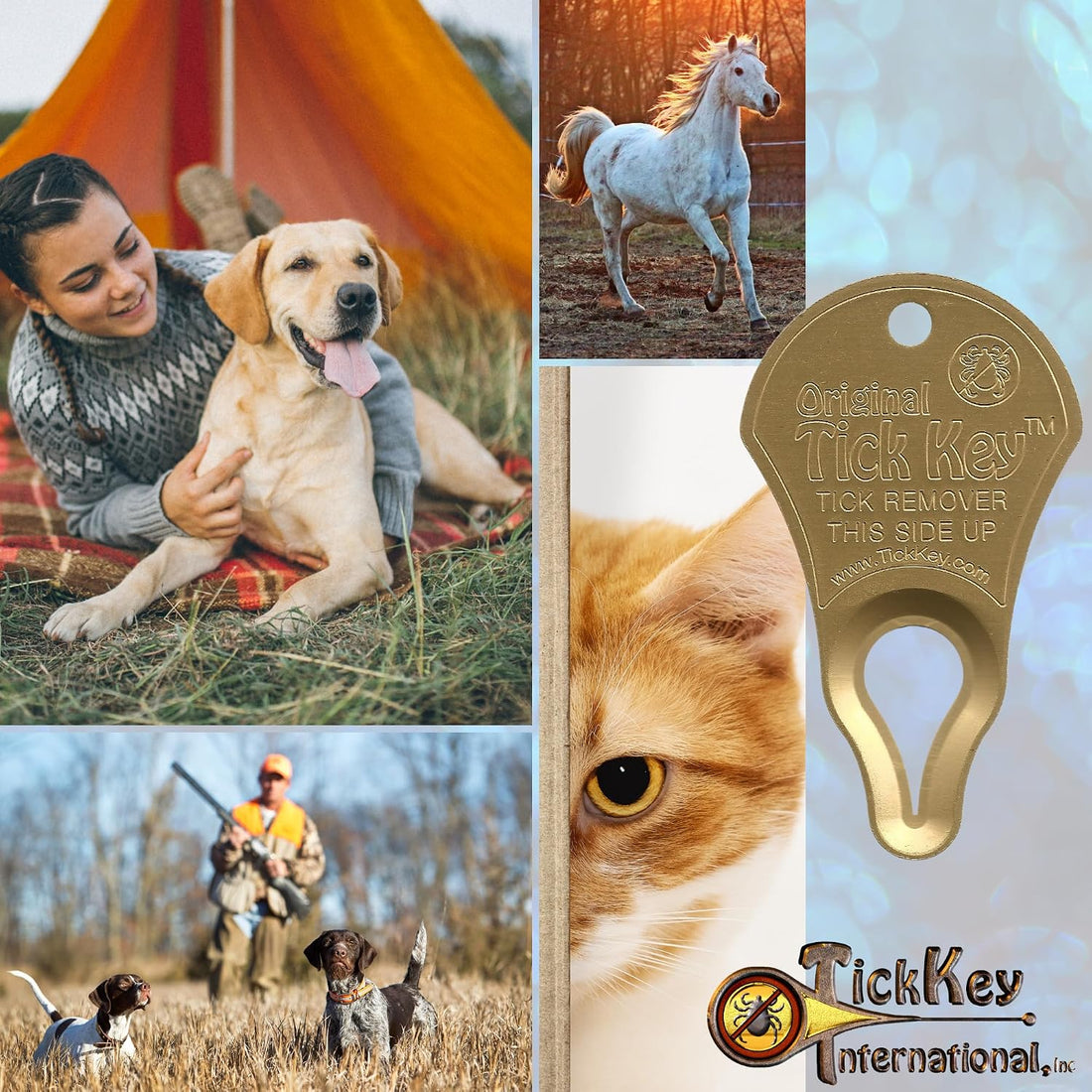 The Original Tick Key Tick Detaching Device, 3 Pack, Assorted