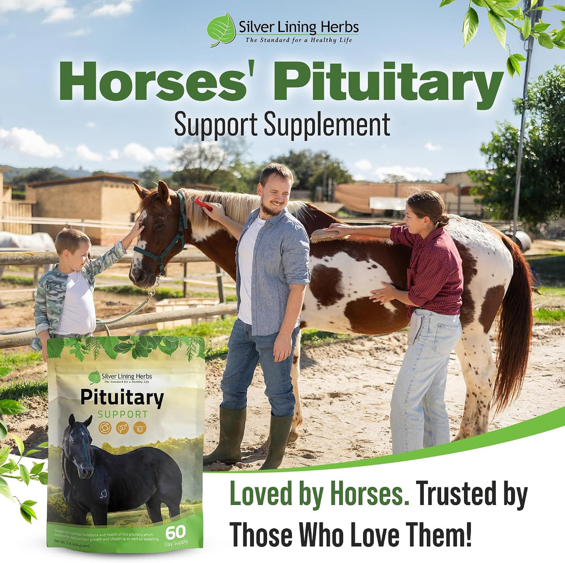 Silver Lining Herbs Horse Pituitary Gland Supplements - 1 lb