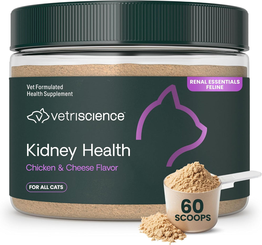 VetriScience Kidney Health Powder for Cats, Chicken & Cheese