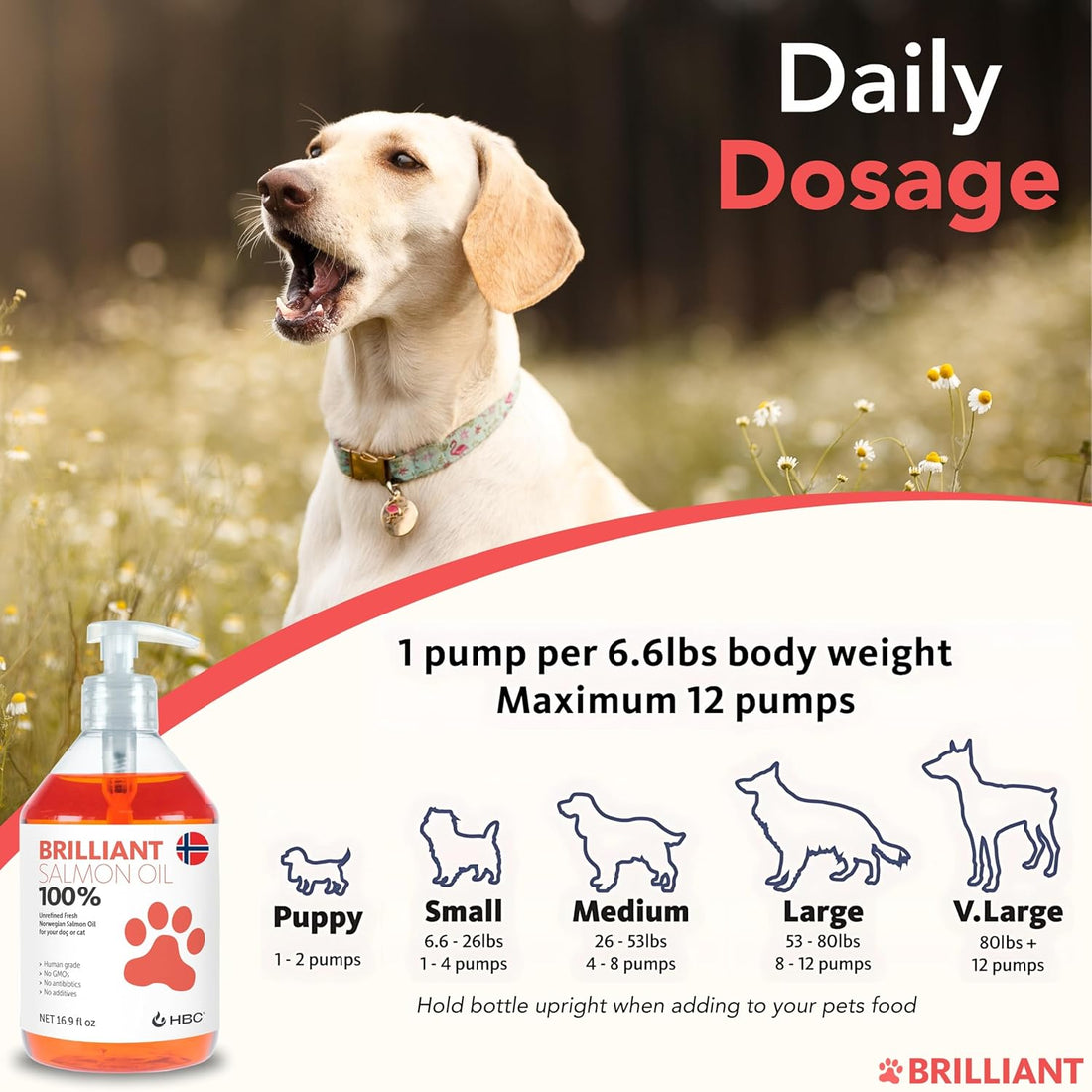 Brilliant Norwegian Salmon Oil for Dogs, Cats, Horse, Ferret