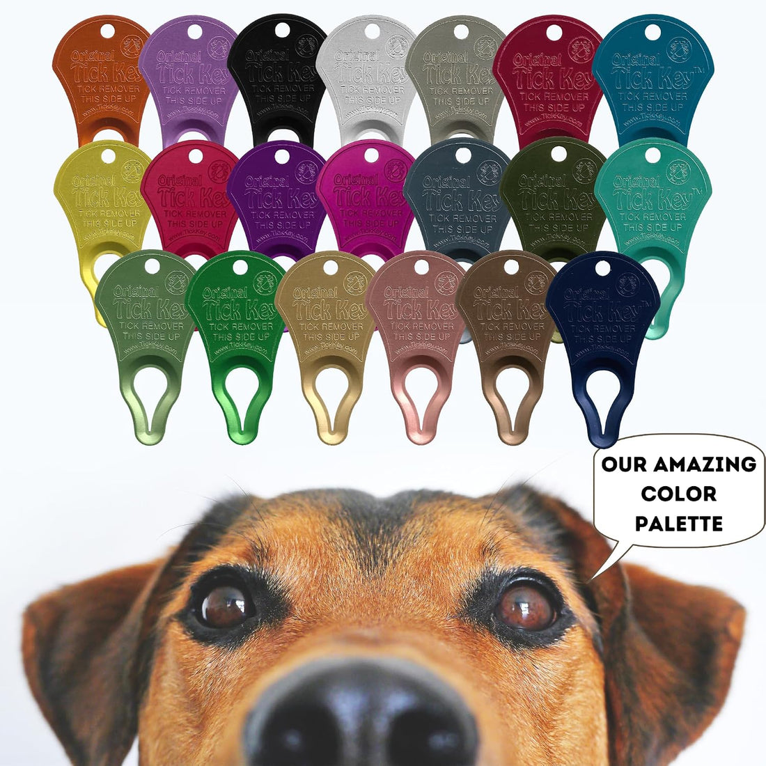 The Original Tick Key Tick Detaching Device, 3 Pack, Assorted
