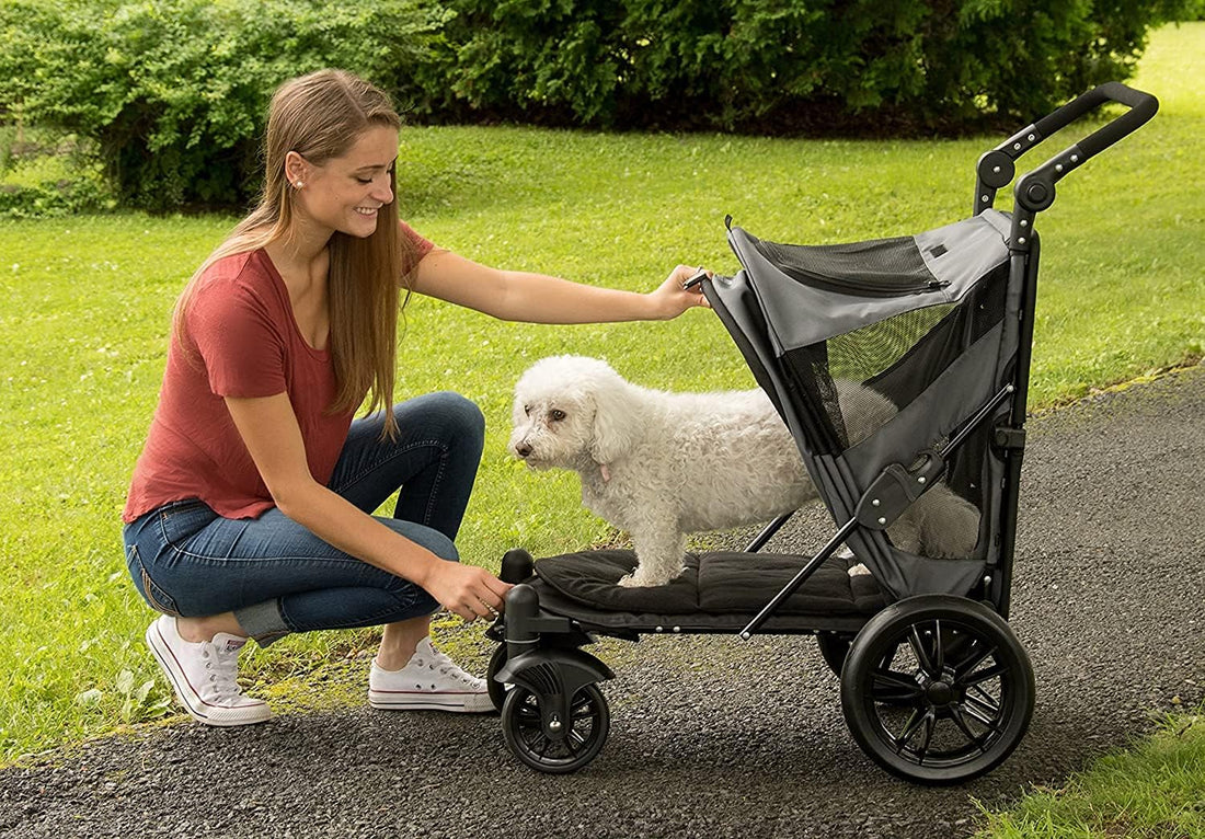 Pet Gear NO-Zip Pet Stroller with Dual Entry