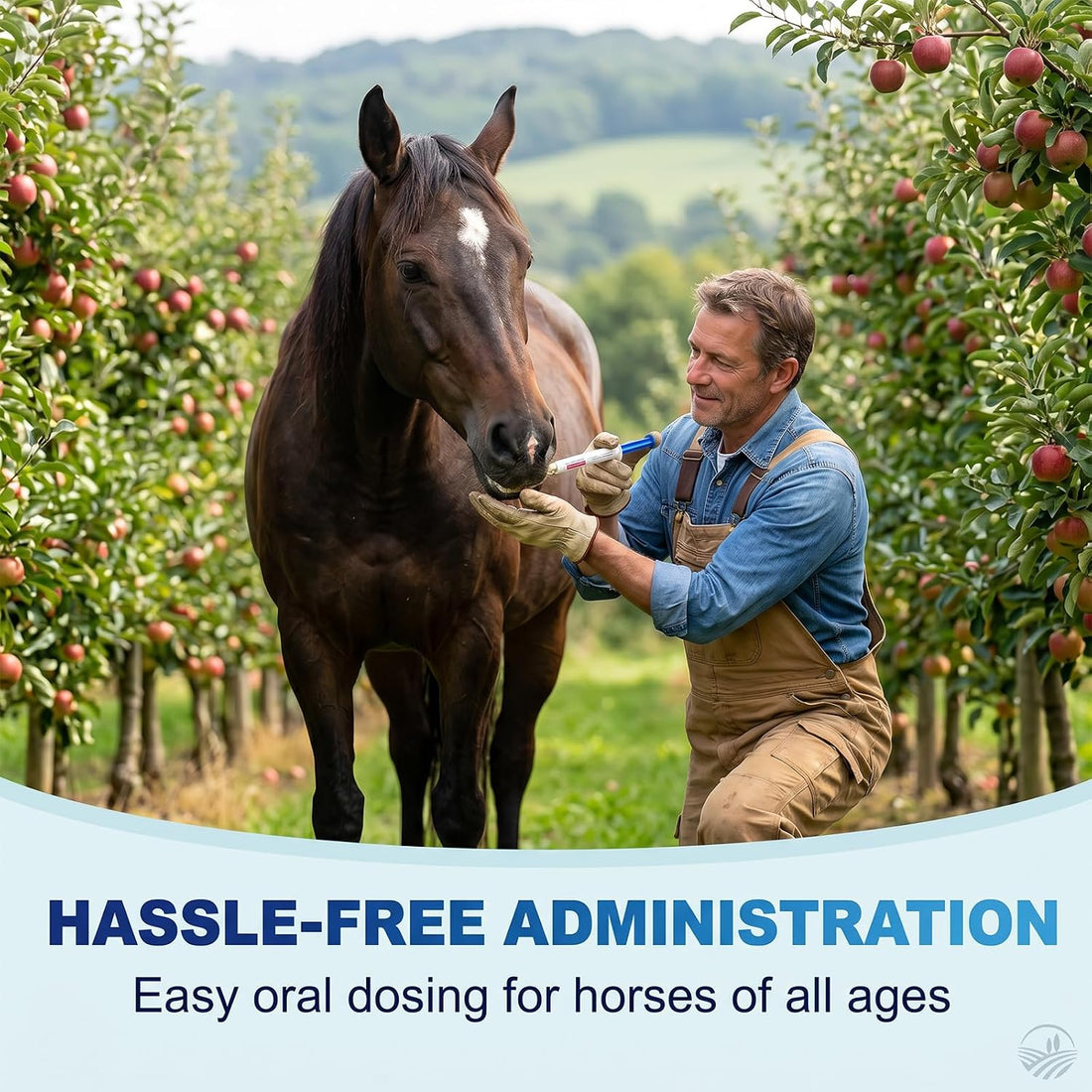 Ivermectin Horse Paste 1.87%, Apple Flavored Equine Dewormer