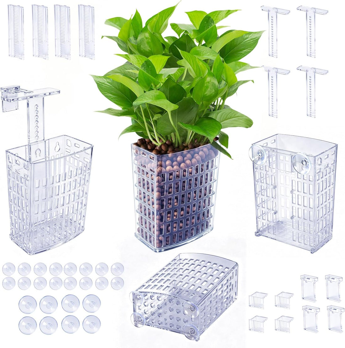 Newly Upgraded Aquarium Plant Holder 4-Pack(Transparent)