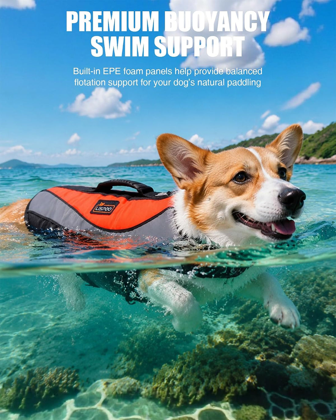 Dog Life Jacket for Swimming & Boating, Orange Black, M