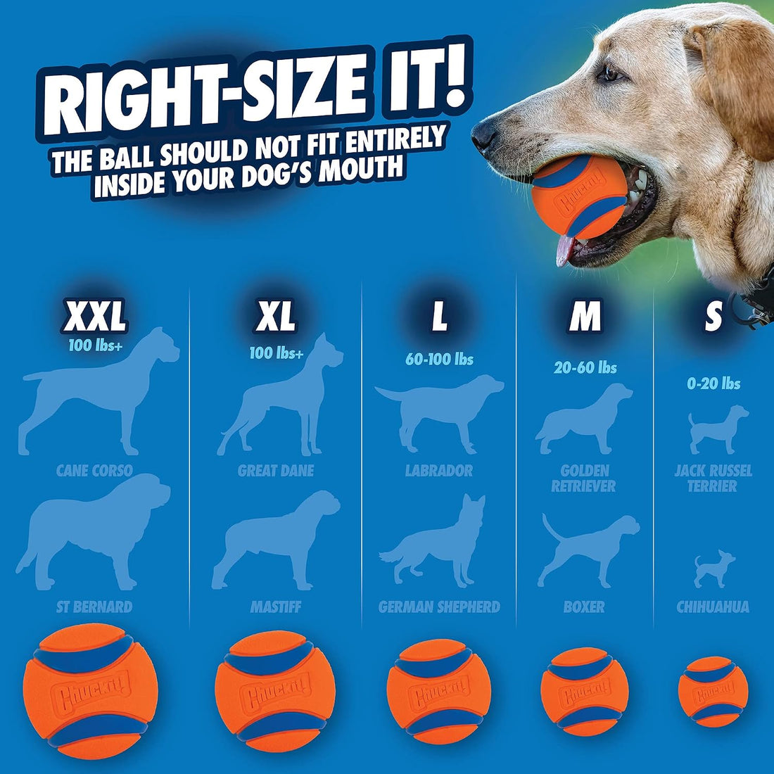 Chuckit! Ultra Ball Dog Toy, Durable Rubber, Small 2-in, 2 Pack