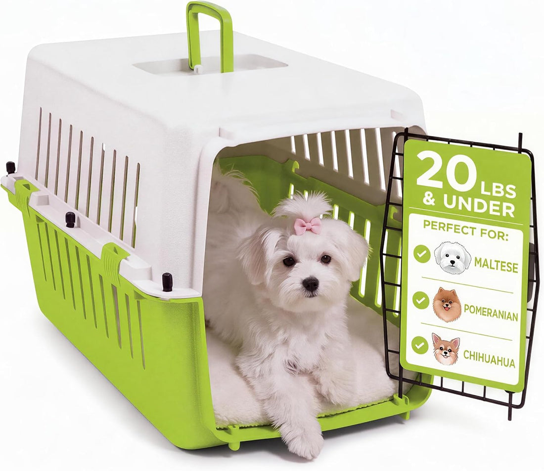 20-Inch Pink Hard Shell Pet Carrier for Small Dogs & Cats Under 15 Lbs