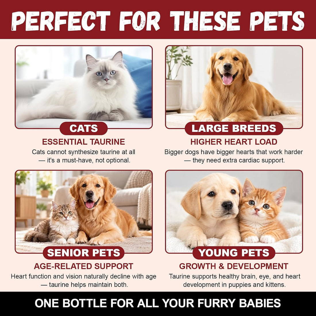 Taurine Drops for Dogs & Cats