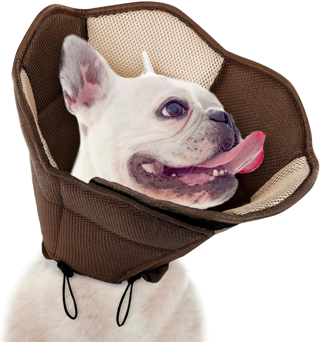 Dog Cone Soft Cone for Dogs to Stop Licking