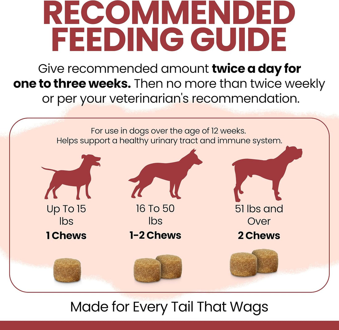 Dog UTI Treatment Cranberry Supplement for Dogs, 120 Soft Chews