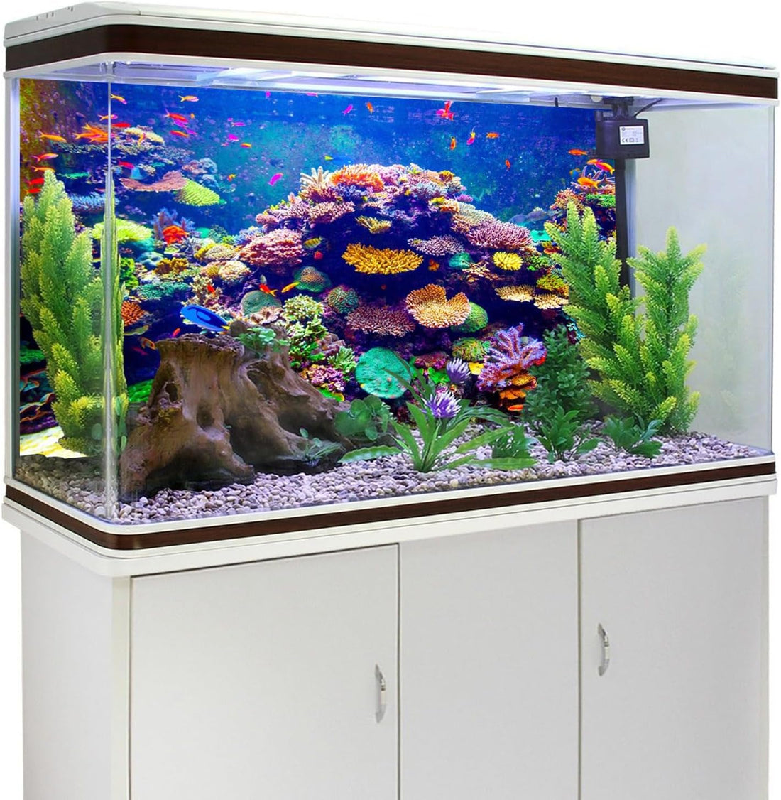 Undersea Aquarium Background 24x12 in Coral Tropical Fish Tank