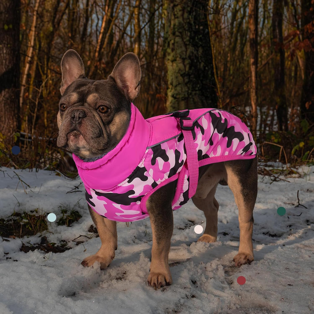 IECOii Extra Warm Dog Coat - Reflective Adjustable Jacket With Buckle